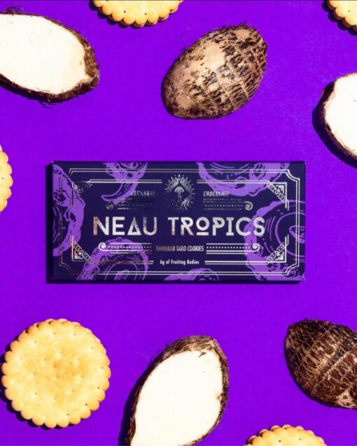 neau tropics , neau tropics chocolate , buy neau tropics , neautropics , neau tropics mushroom chocolate , neau tropics chocolate bar , neau tropics chocolate , neau tropics gummies , new tropic , tropica chocolate , nontropic , new tropics , neau , neotropic , neo cereal , neau tropics chocolate , neonature , tropic chocolate bar , novatropes , nootro , newtropic , neotropis