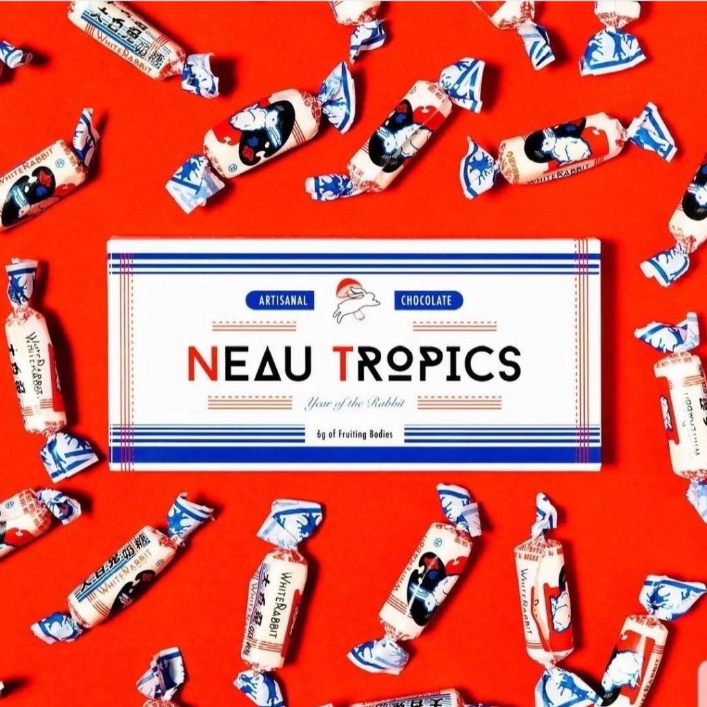 neau tropics , neau tropics chocolate , buy neau tropics , neautropics , neau tropics mushroom chocolate , neau tropics chocolate bar , neau tropics chocolate , neau tropics gummies , new tropic , tropica chocolate , nontropic , new tropics , neau , neotropic , neo cereal , neau tropics chocolate , neonature , tropic chocolate bar , novatropes , nootro , newtropic , neotropis